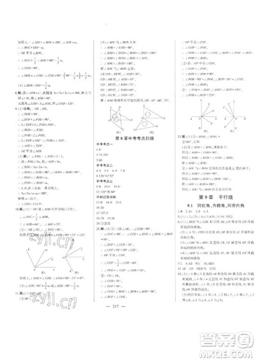 吉林人民出版社2023初中新课标名师学案智慧大课堂七年级数学下册青岛版参考答案
