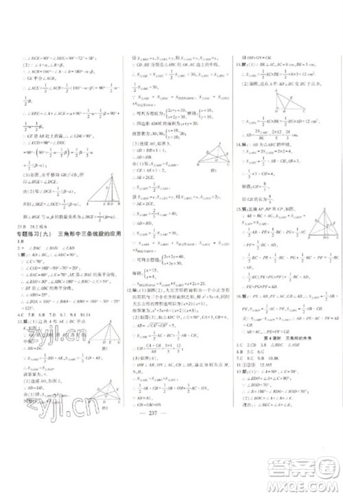 吉林人民出版社2023初中新课标名师学案智慧大课堂七年级数学下册青岛版参考答案