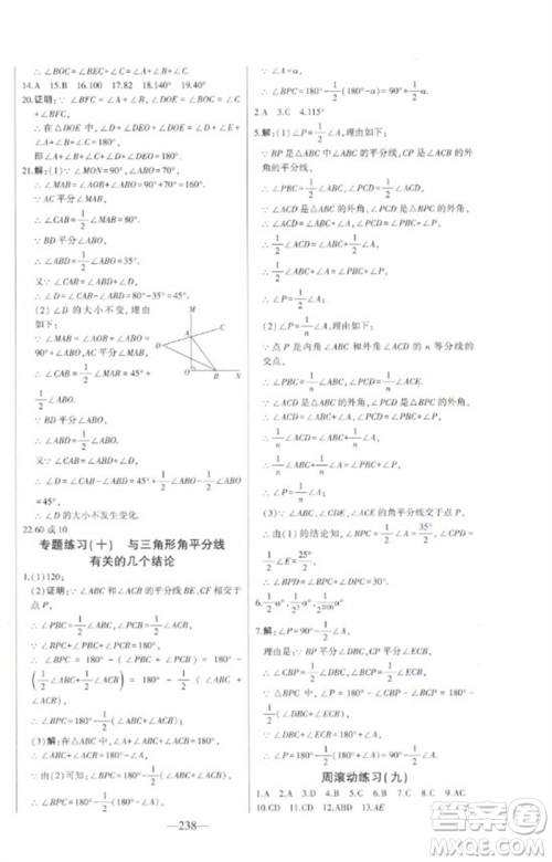 吉林人民出版社2023初中新课标名师学案智慧大课堂七年级数学下册青岛版参考答案