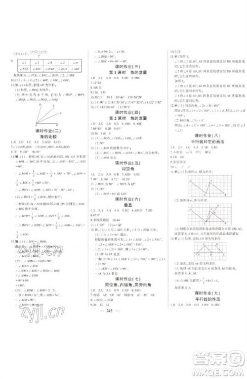 吉林人民出版社2023初中新课标名师学案智慧大课堂七年级数学下册青岛版参考答案