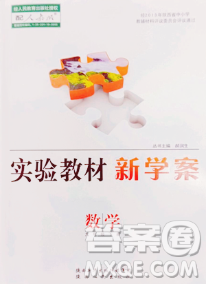 陕西人民出版社2023实验教材新学案九年级下册数学人教版参考答案