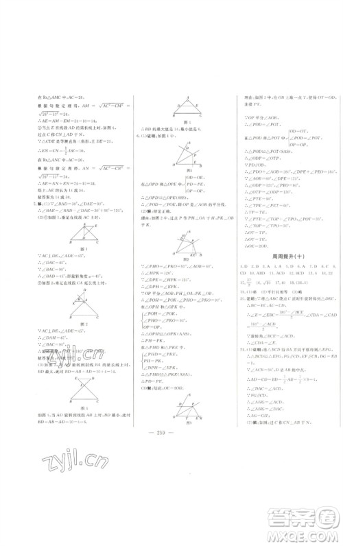 吉林人民出版社2023初中新课标名师学案智慧大课堂八年级数学下册青岛版参考答案