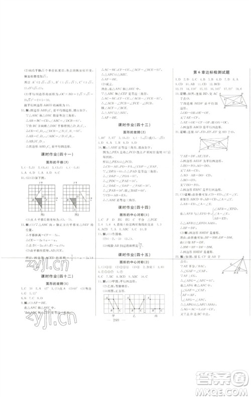 吉林人民出版社2023初中新课标名师学案智慧大课堂八年级数学下册青岛版参考答案