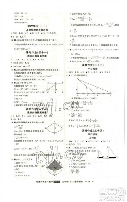 吉林人民出版社2023初中新课标名师学案智慧大课堂九年级数学下册青岛版参考答案