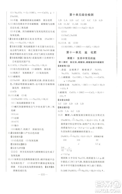 吉林人民出版社2023初中新课标名师学案智慧大课堂九年级化学下册人教版参考答案