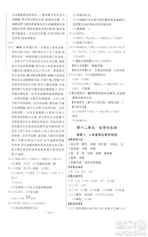 吉林人民出版社2023初中新课标名师学案智慧大课堂九年级化学下册人教版参考答案