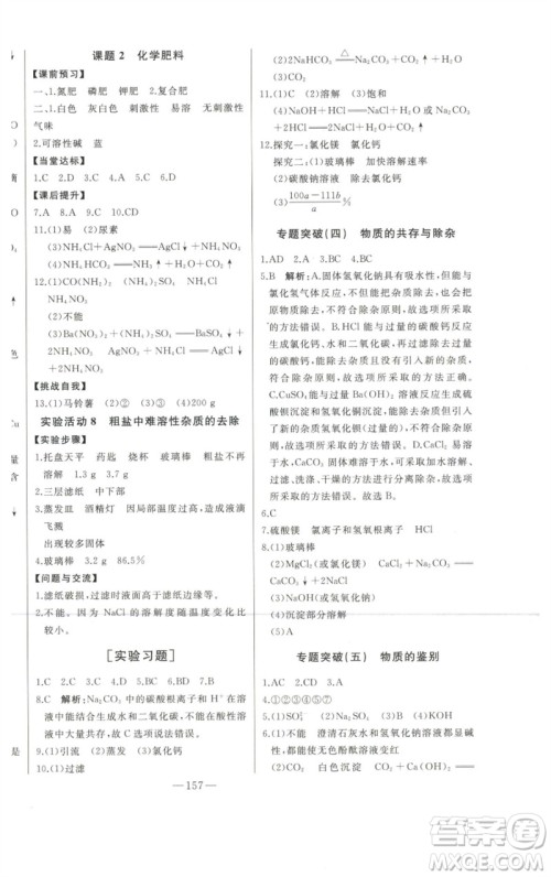 吉林人民出版社2023初中新课标名师学案智慧大课堂九年级化学下册人教版参考答案
