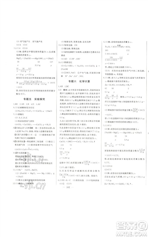 吉林人民出版社2023初中新课标名师学案智慧大课堂九年级化学下册人教版参考答案