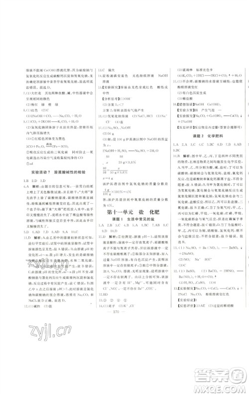 吉林人民出版社2023初中新课标名师学案智慧大课堂九年级化学下册人教版参考答案