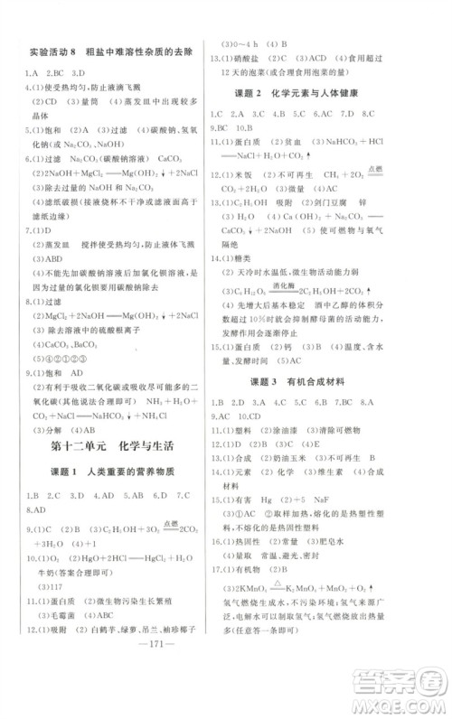 吉林人民出版社2023初中新课标名师学案智慧大课堂九年级化学下册人教版参考答案