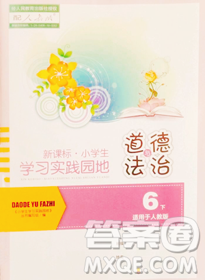 四川教育出版社2023新课标小学生学习实践园地六年级下册道德与法治人教版参考答案