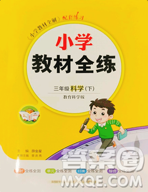 陕西人民教育出版社2023小学教材全练三年级下册科学教科版参考答案