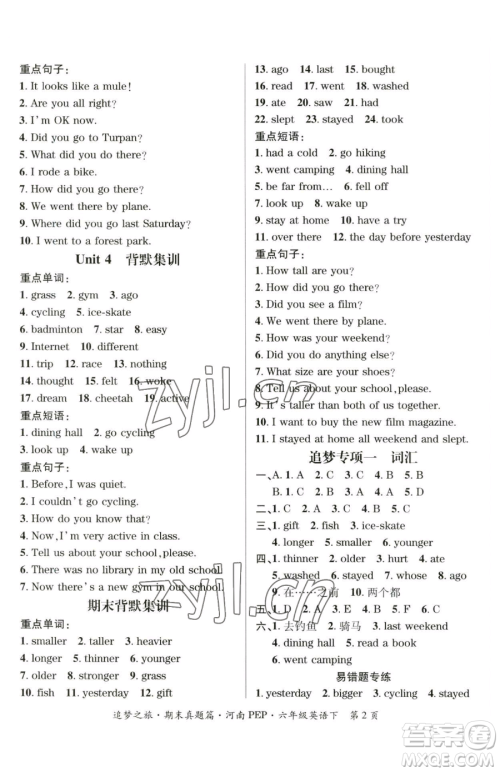 天津科学技术出版社2023追梦之旅小学期末真题篇六年级下册英语人教版河南专版参考答案