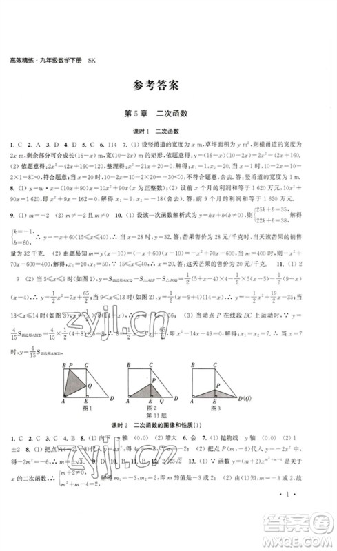 安徽人民出版社2023高效精练九年级数学下册苏科版参考答案