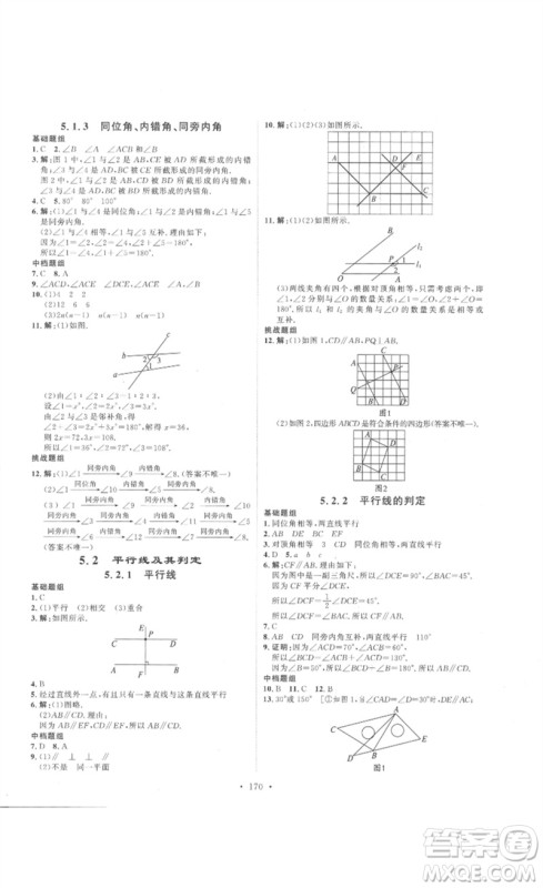 安徽人民出版社2023思路教练同步课时作业七年级数学下册人教版参考答案