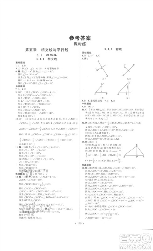 安徽人民出版社2023思路教练同步课时作业七年级数学下册人教版参考答案