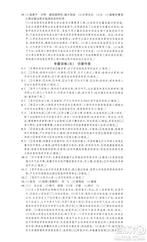 安徽人民出版社2023思路教练同步课时作业七年级生物下册人教版参考答案 安徽人民出版社2023思路教练同步课时作业七年级生物下册人教版参考答案