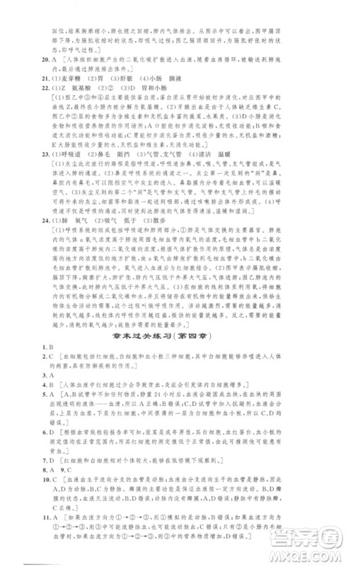 安徽人民出版社2023思路教练同步课时作业七年级生物下册人教版参考答案 安徽人民出版社2023思路教练同步课时作业七年级生物下册人教版参考答案