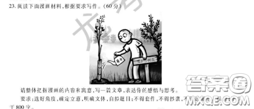 爱护小树苗开水漫画作文800字 关于爱护小树苗开水的漫画作文800字