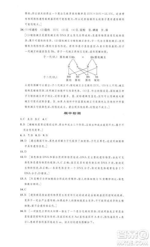 安徽人民出版社2023思路教练同步课时作业八年级生物下册人教版参考答案 安徽人民出版社2023思路教练同步课时作业八年级生物下册人教版参考答案