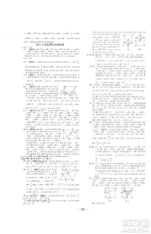 天津科学技术出版社2023追梦之旅铺路卷八年级下册数学人教版河南专版参考答案