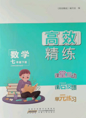 安徽人民出版社2023高效精练七年级数学下册苏科版参考答案