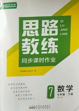 安徽人民出版社2023思路教练同步课时作业七年级数学下册人教版参考答案