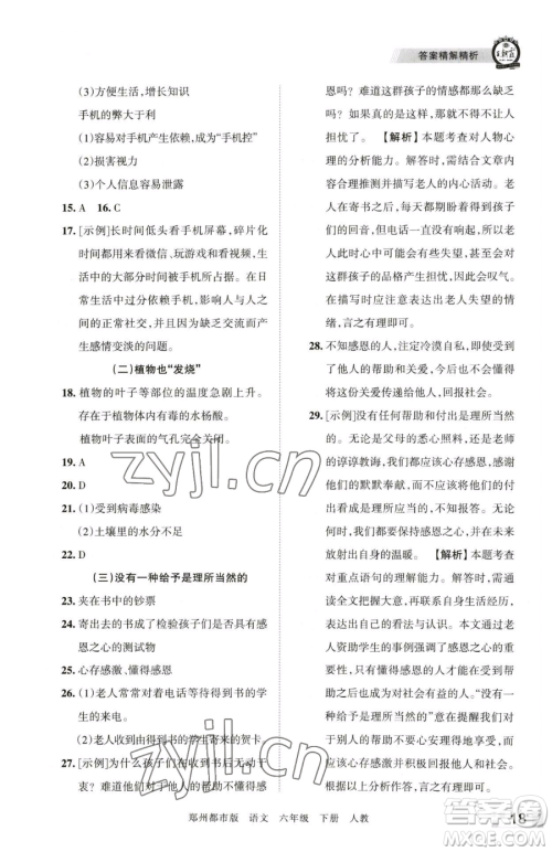 江西人民出版社2023王朝霞期末真题精编六年级下册语文人教版郑州专版参考答案
