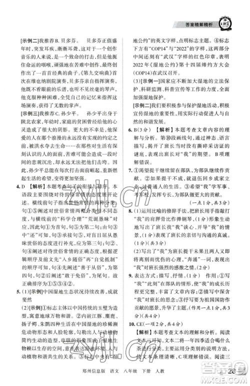 江西人民出版社2023王朝霞期末真题精编八年级下册语文人教版郑州专版参考答案