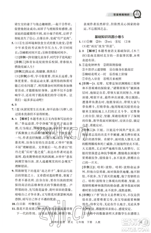 江西人民出版社2023王朝霞期末真题精编七年级下册语文人教版郑州专版参考答案