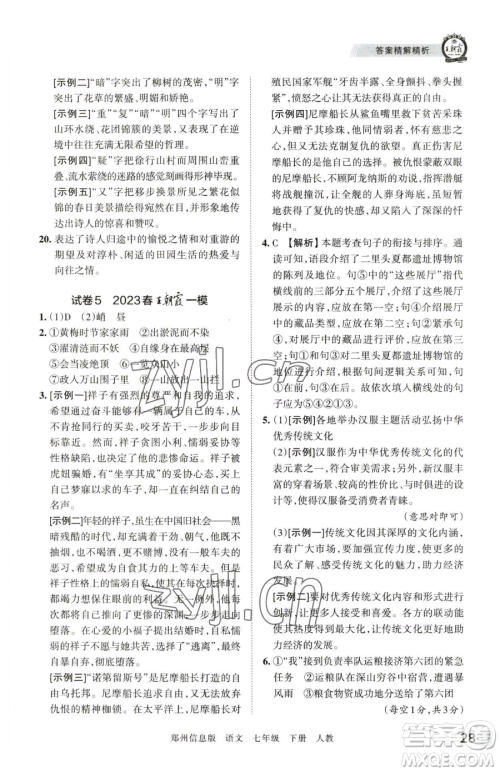 江西人民出版社2023王朝霞期末真题精编七年级下册语文人教版郑州专版参考答案