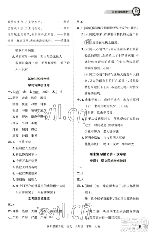 江西人民出版社2023王朝霞期末真题精编六年级下册语文人教版安濮专版参考答案