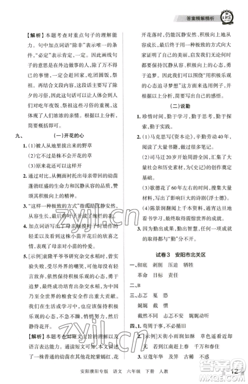 江西人民出版社2023王朝霞期末真题精编六年级下册语文人教版安濮专版参考答案