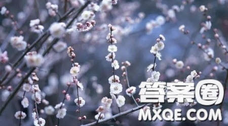 爱的叮嘱作文600字 以爱的叮嘱为题作文600字 爱的叮嘱作文600字 以爱的叮嘱为题作文600字
