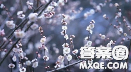 爱的叮嘱作文600字 以爱的叮嘱为题作文600字