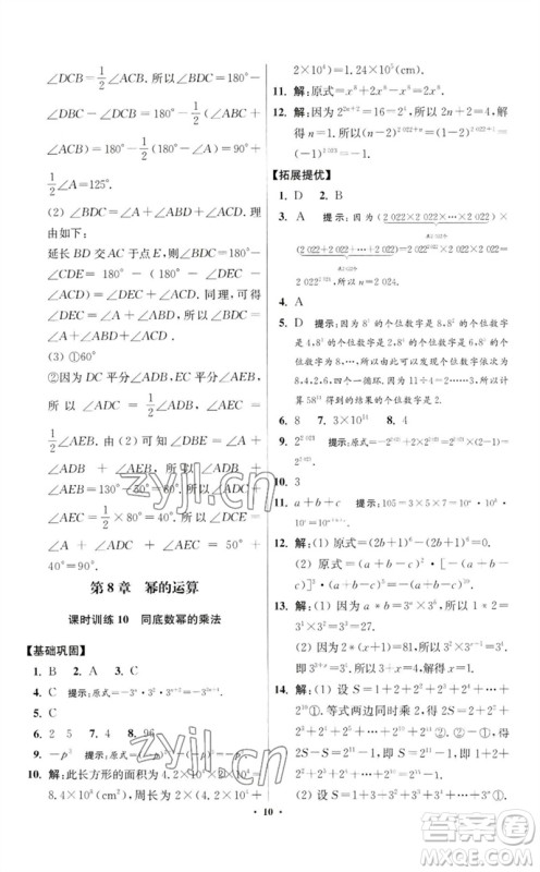 江苏凤凰科学技术出版社2023初中数学小题狂做七年级下册苏科版提优版参考答案