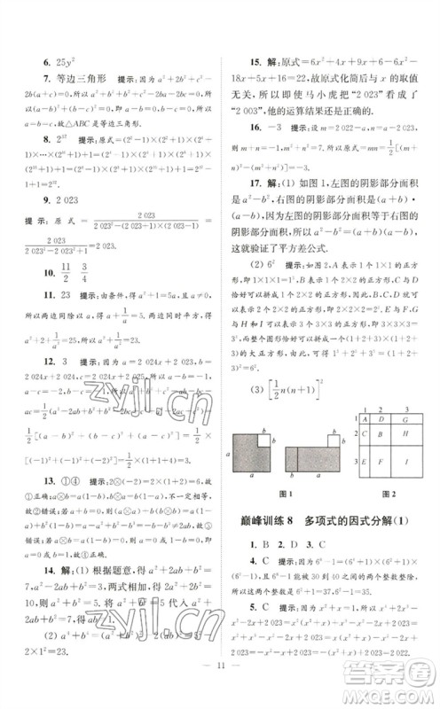 江苏凤凰科学技术出版社2023初中数学小题狂做七年级下册苏科版巅峰版参考答案