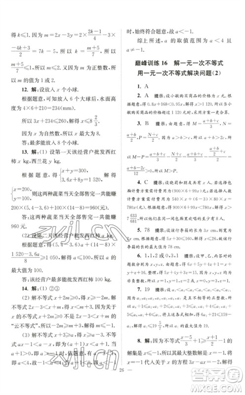 江苏凤凰科学技术出版社2023初中数学小题狂做七年级下册苏科版巅峰版参考答案