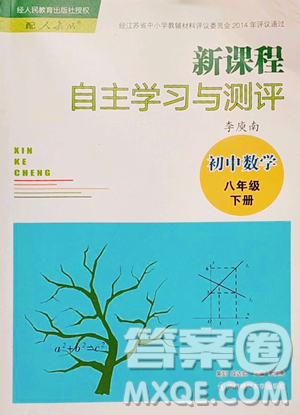 南京师范大学出版社2023新课程自主学习与测评八年级下册数学人教版参考答案