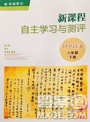 南京师范大学出版社2023新课程自主学习与测评八年级下册语文人教版参考答案