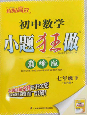 江苏凤凰科学技术出版社2023初中数学小题狂做七年级下册苏科版巅峰版参考答案