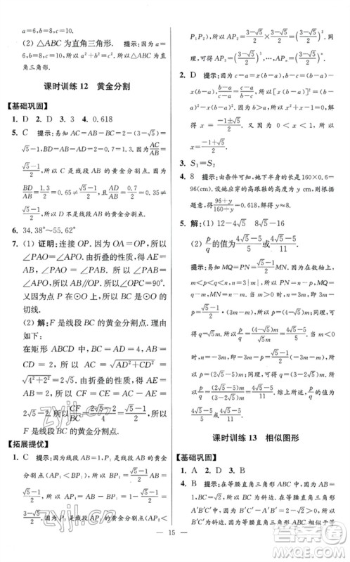 江苏凤凰科学技术出版社2023初中数学小题狂做九年级下册苏科版提优版参考答案