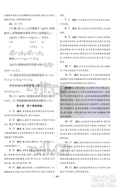江苏凤凰科学技术出版社2023初中化学小题狂做九年级下册沪教版提优版参考答案