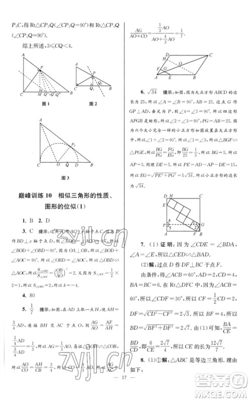 江苏凤凰科学技术出版社2023初中数学小题狂做九年级下册苏科版巅峰版参考答案