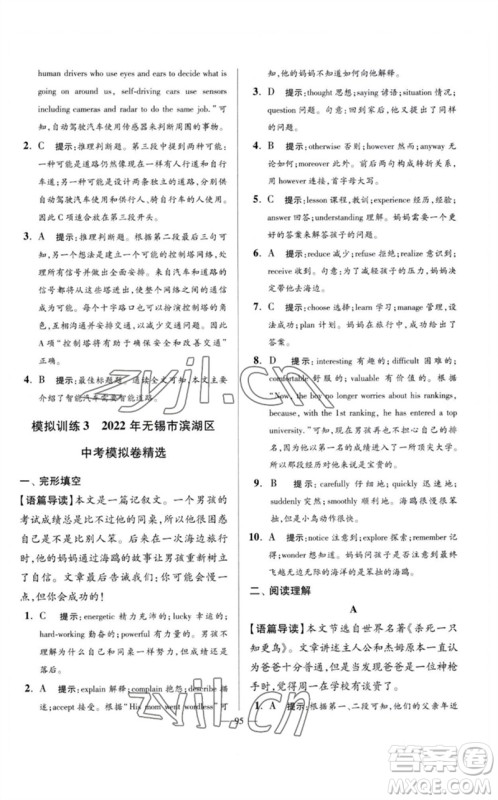 江苏凤凰科学技术出版社2023初中英语小题狂做九年级下册译林版巅峰版参考答案