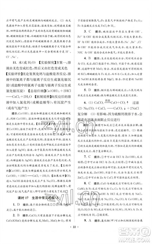 江苏凤凰科学技术出版社2023初中化学小题狂做九年级下册人教版提优版参考答案