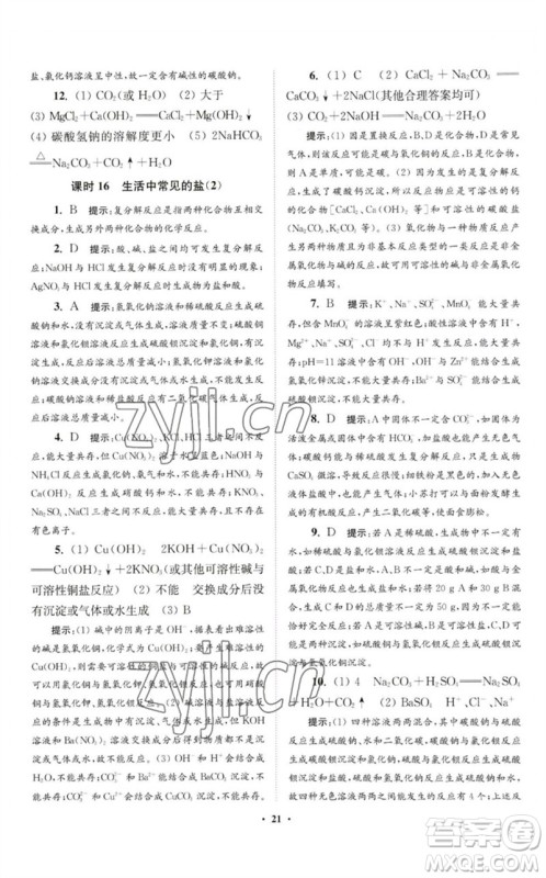 江苏凤凰科学技术出版社2023初中化学小题狂做九年级下册人教版提优版参考答案