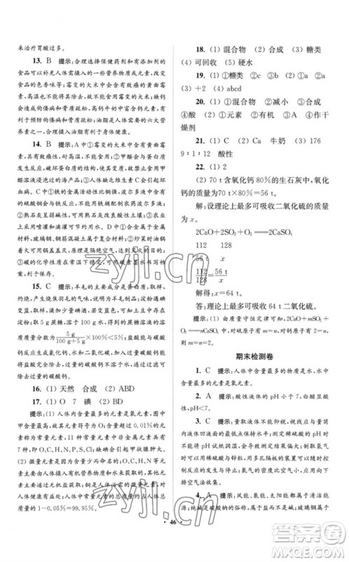 江苏凤凰科学技术出版社2023初中化学小题狂做九年级下册人教版提优版参考答案