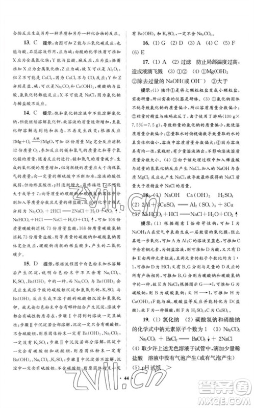 江苏凤凰科学技术出版社2023初中化学小题狂做九年级下册人教版提优版参考答案