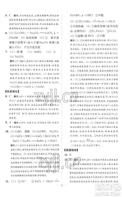 江苏凤凰科学技术出版社2023中考化学小题狂做九年级人教版提优版参考答案